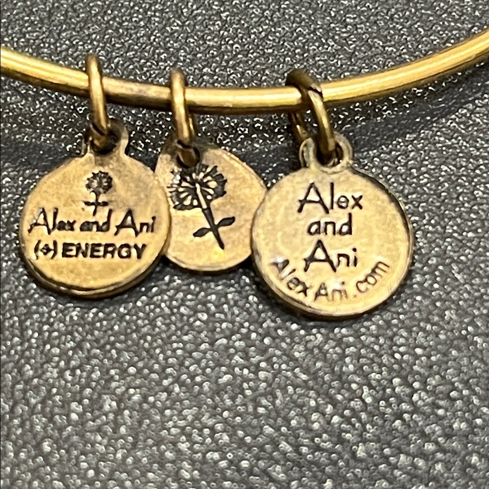 Alex and Ani Gold Heart Charm Bracelet - Picture 4 of 5